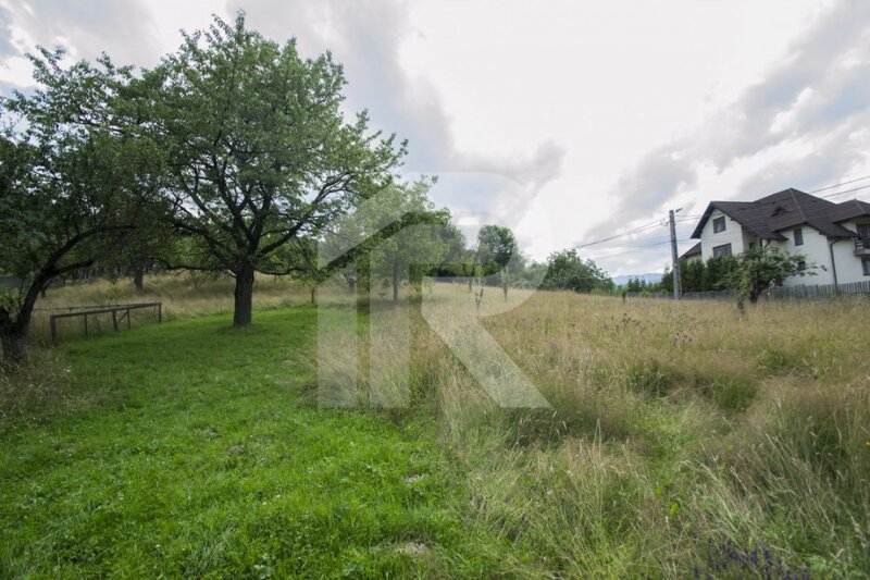 Teren investitie Bran - Predelut, la 2 km de Castelul Bran